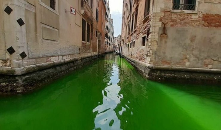 acqua verde a Venezia - cronacalive.it