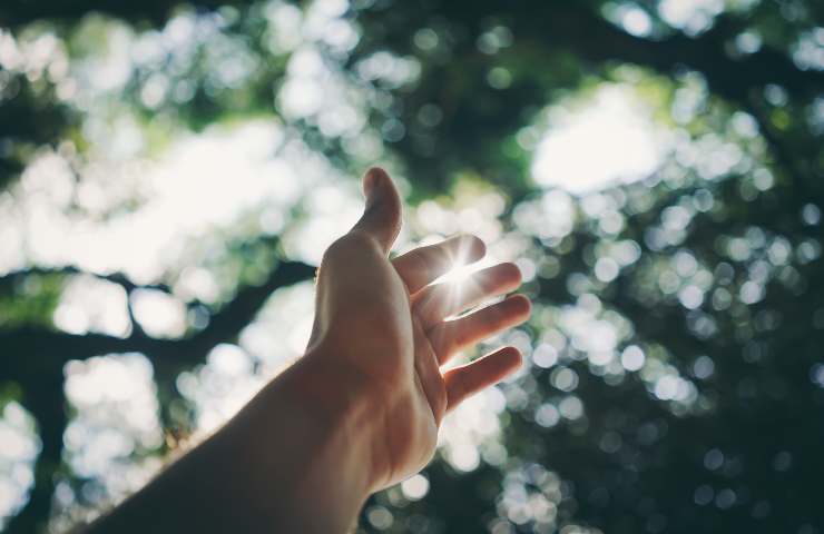 Rimedi naturali per mani sudate