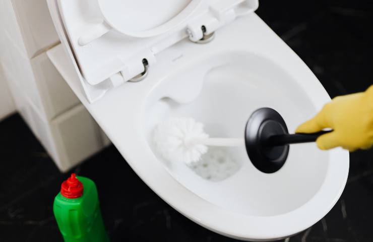 Pulire il WC con ingredienti naturali