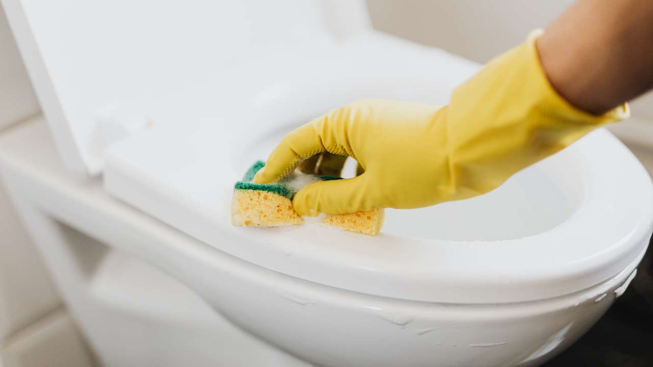 WC, come pulirlo senza usare candeggina