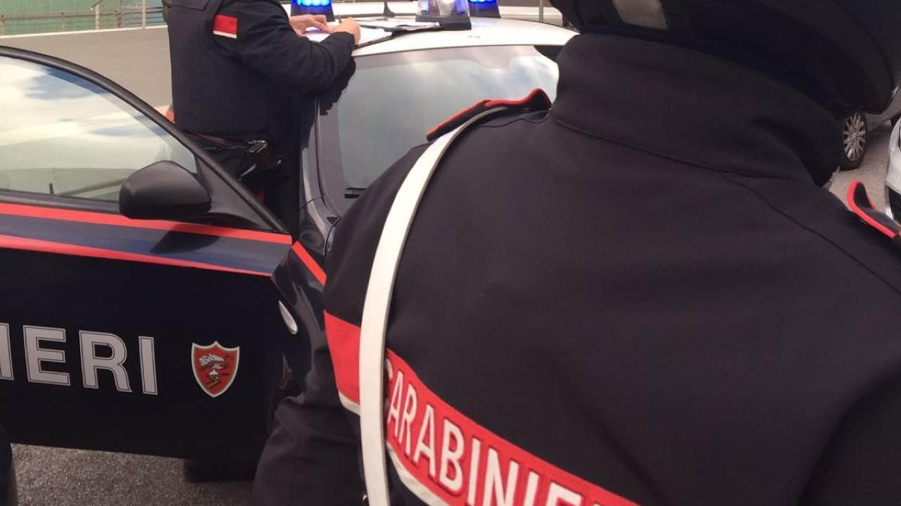 Blitz dei Carabinieri nel Nisseno (Fonte Ansa)