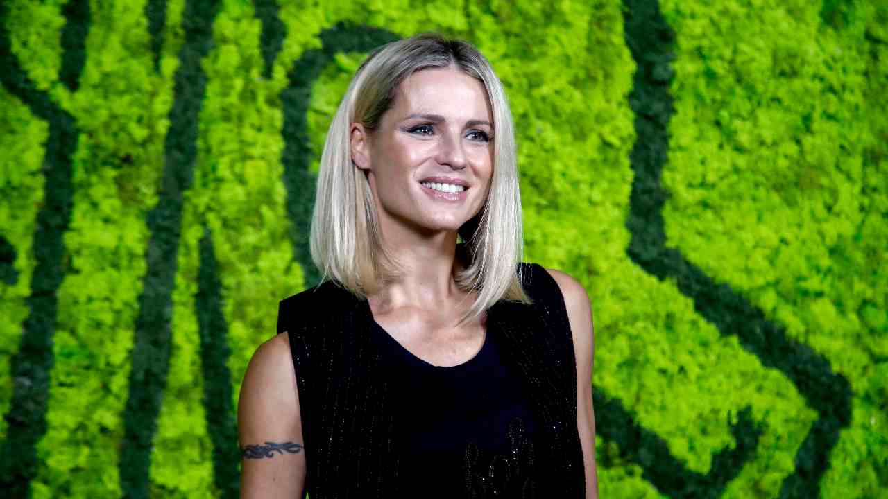 Michelle Hunziker pizzicata col nuovo compagno (Fonte Ansa)