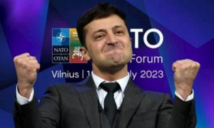 Volodymyr Zelensky a Vilnius - cronacalive.it