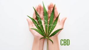 cannabis